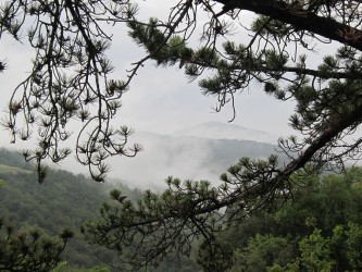 La Riserva Naturale del Monte Rufeno